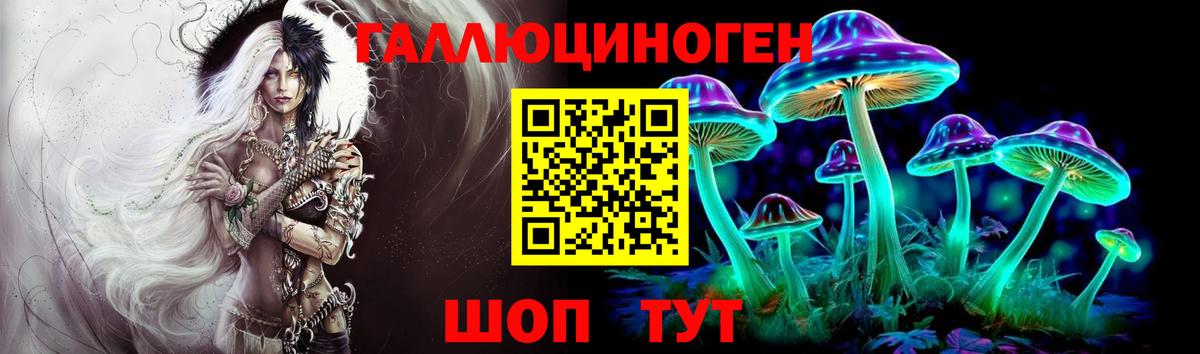 Новоуральск  Псилоцибиновые грибы GOLDEN TEACHER  Псилоцибиновые грибы GOLDEN TEACHER  Вход с VPN 